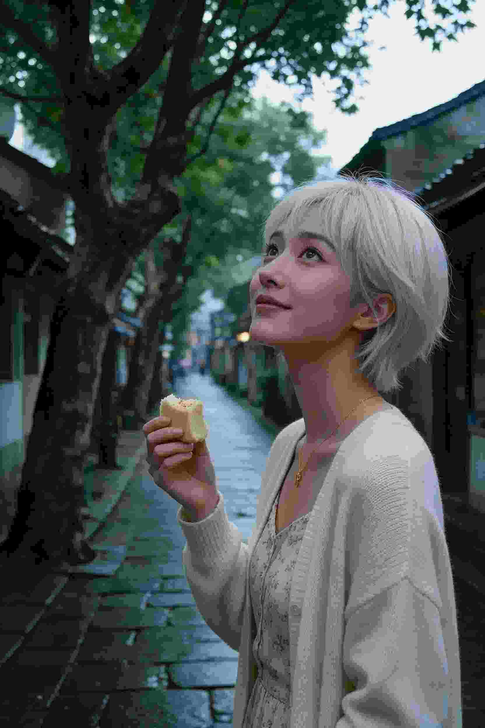 乡村情缘